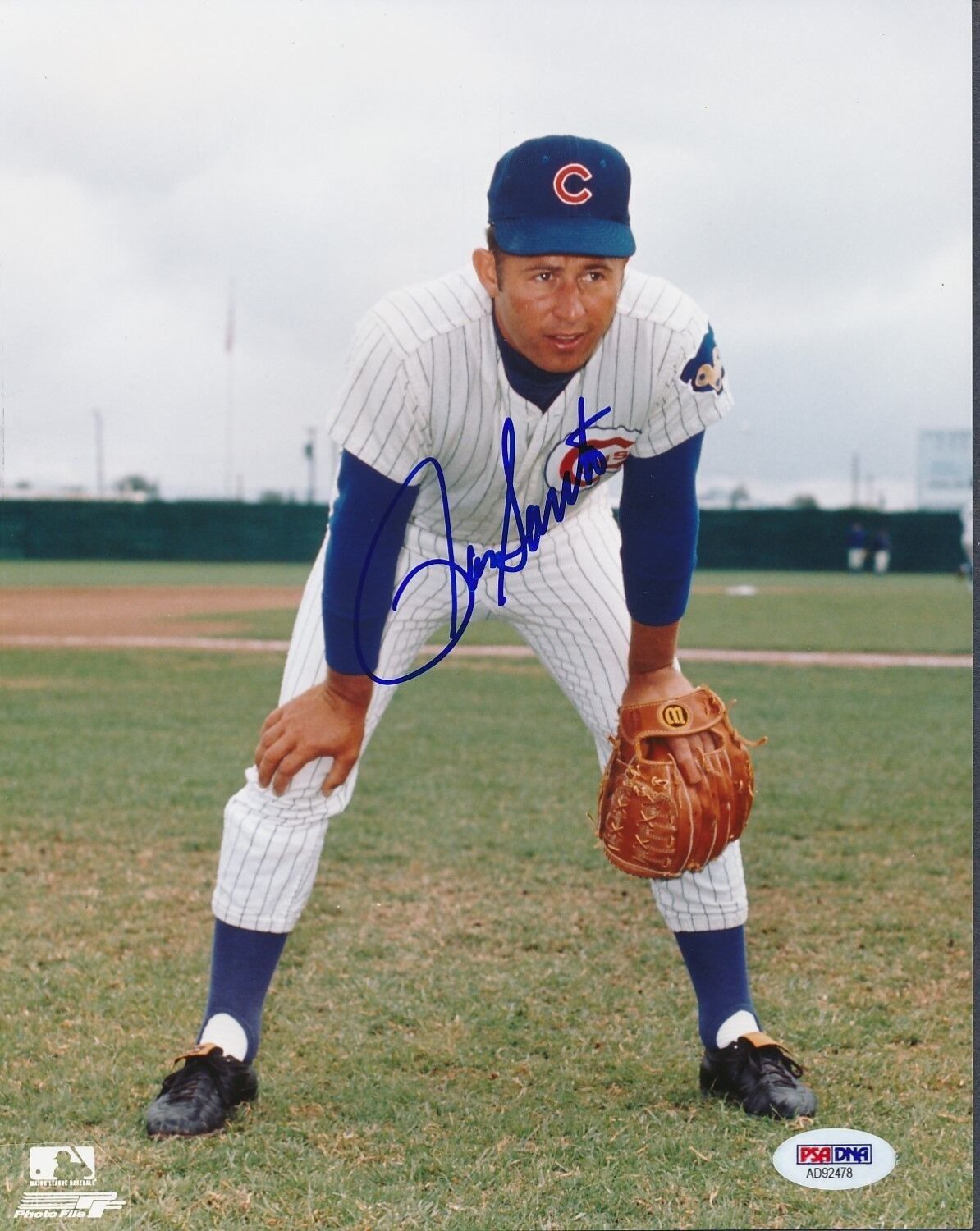 Ron Santo PSA DNA Signed 8x10 Photo Autograph Cubs