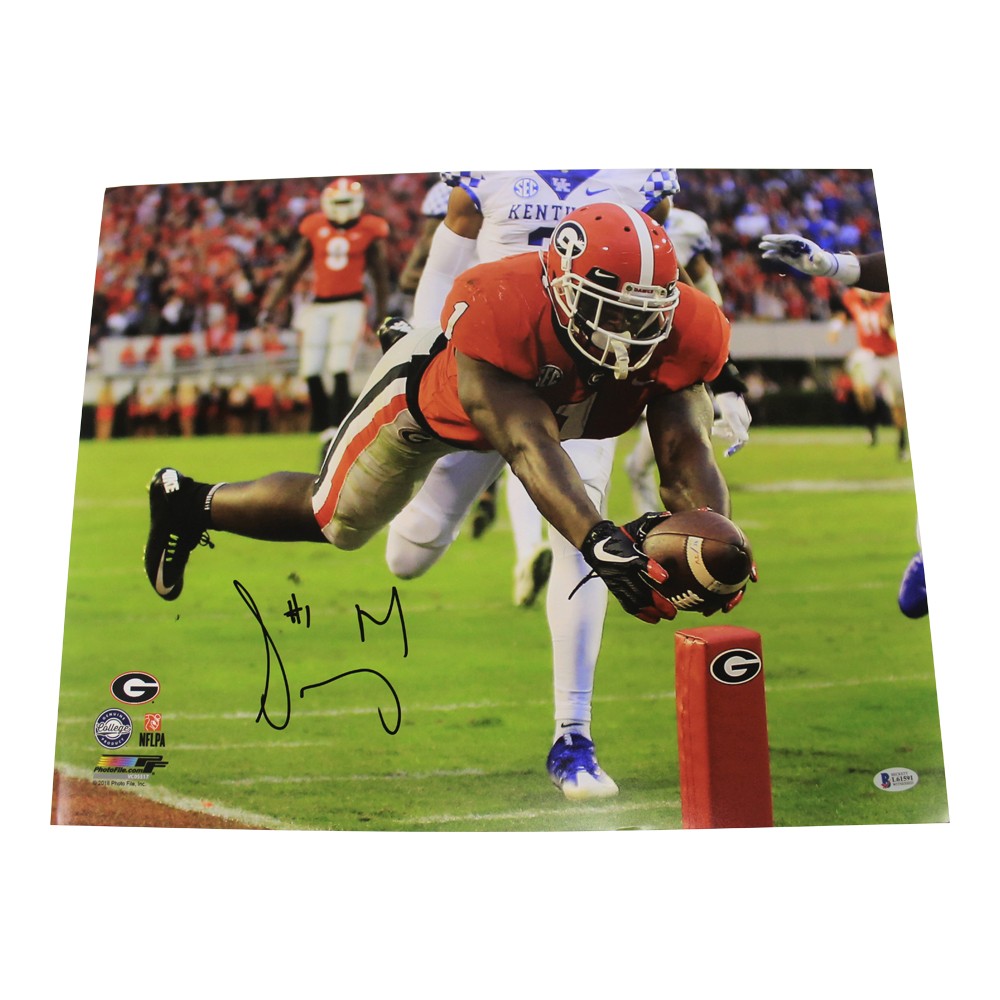 Sony Michel Autographed Signed Georgia Bulldogs 16x20 Photo - Diving For  Endzone - Beckett Sports Collectibles Authentication