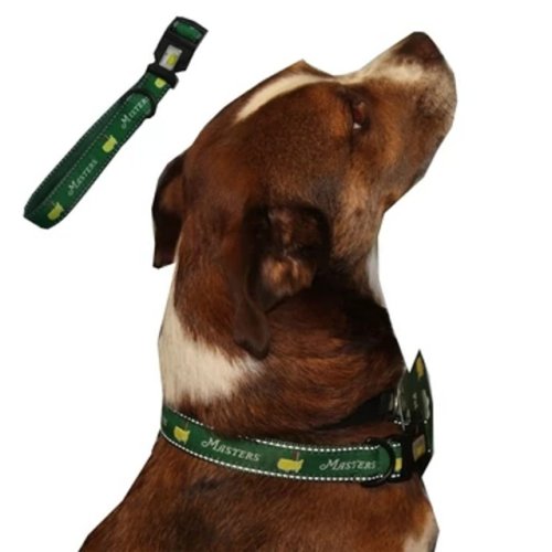 Masters Green Dog Collar