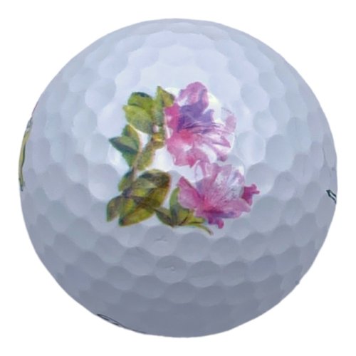 Masters Titleist Pro V1 Limited Edition Amen Corner Azalea Single Golf Ball 
