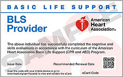 AHA BLS Provider (Nov 5th at 6:00pm) 