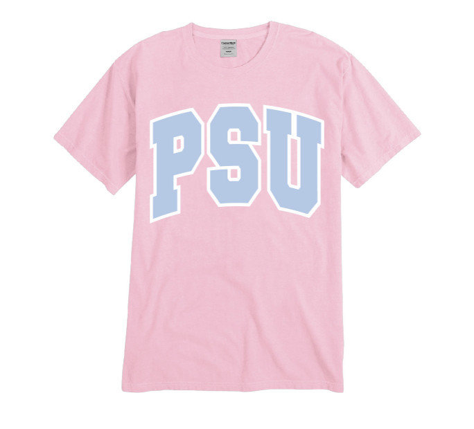 Comfort Wash Penn State University Blossom Pink Comfort Wash Tee Nittany Lions (PSU) (Comfort Wash)