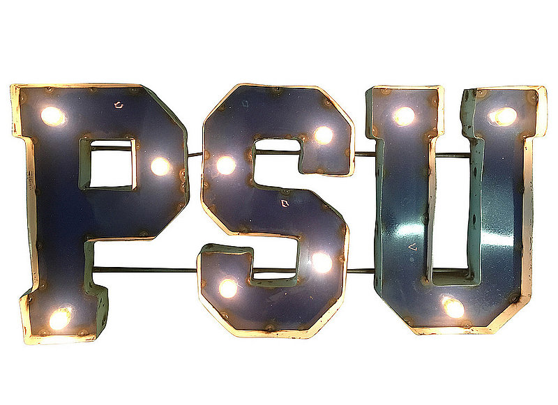 Penn State PSU Recycled Metal Light Up Sign Nittany Lions (PSU) 