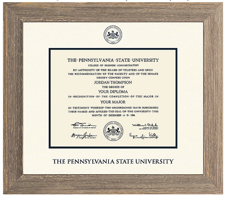 Penn State University Barnwood Gray Diploma Frame Nittany Lions (PSU) 
