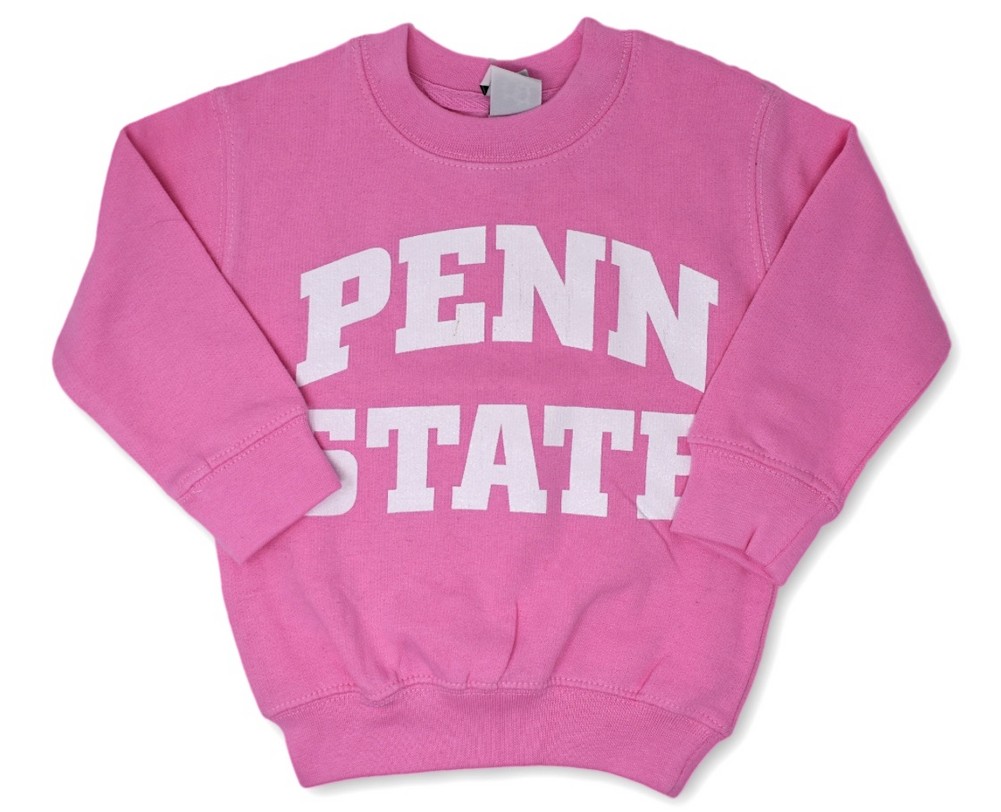 toddler pink sweatshirt