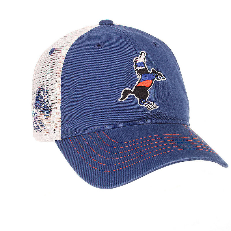 Boise State Broncos College