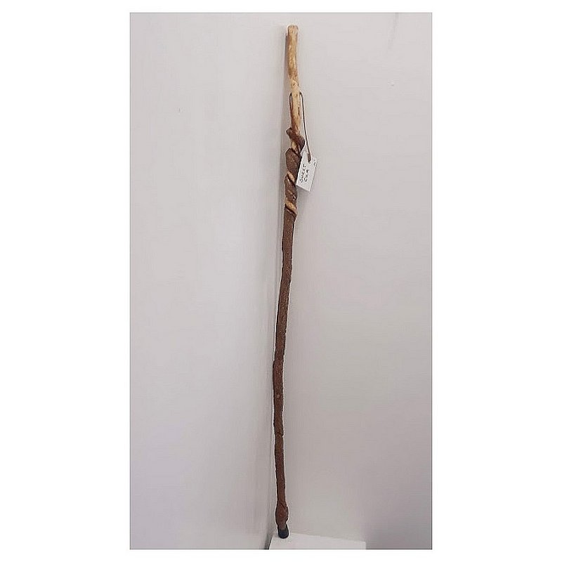 columbia walking stick