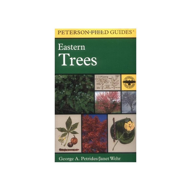 Houghton Mifflin Peterson Guide Eastern Trees 102802 (Houghton Mifflin)