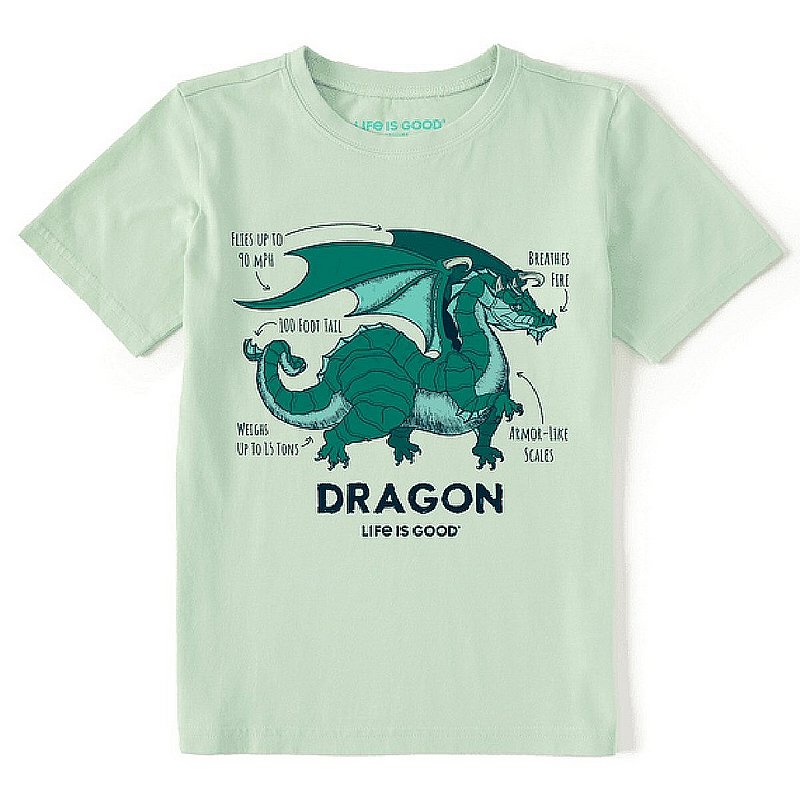 Life is good Kids' Dragon Facts Crusher Tee Shirt 89731 (Life is good)