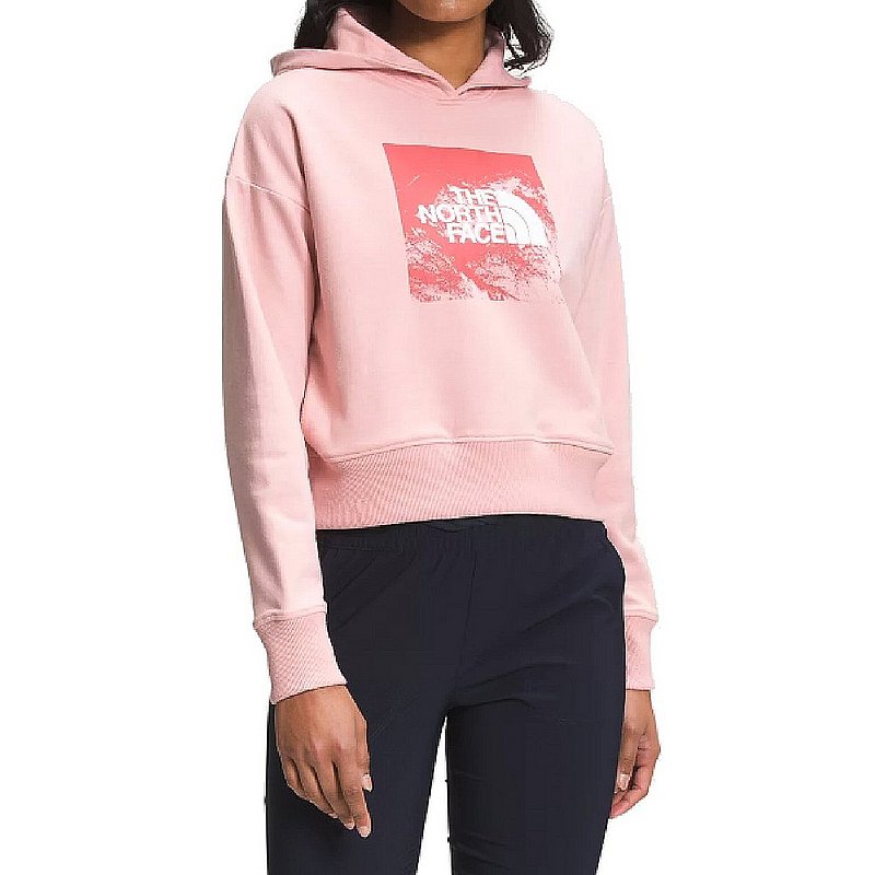 The North Face Logo Play Hoodie Ws NF0A5IWQ (The North Face)