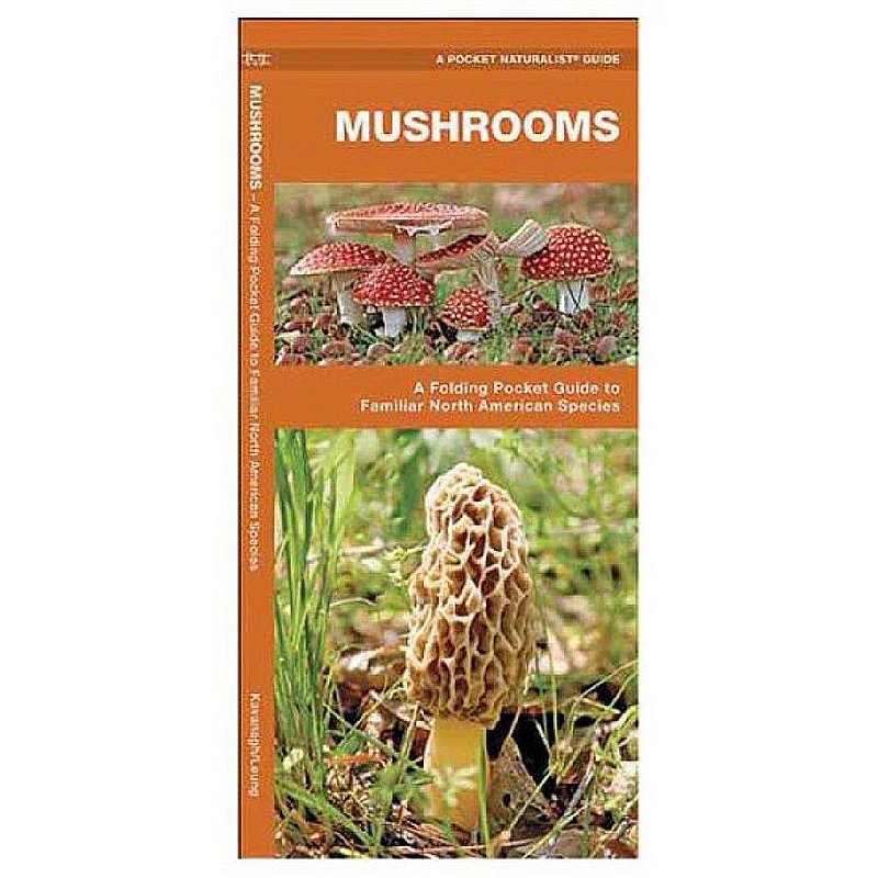 Waterford Press Mushroom Guide 601808 (Waterford Press)