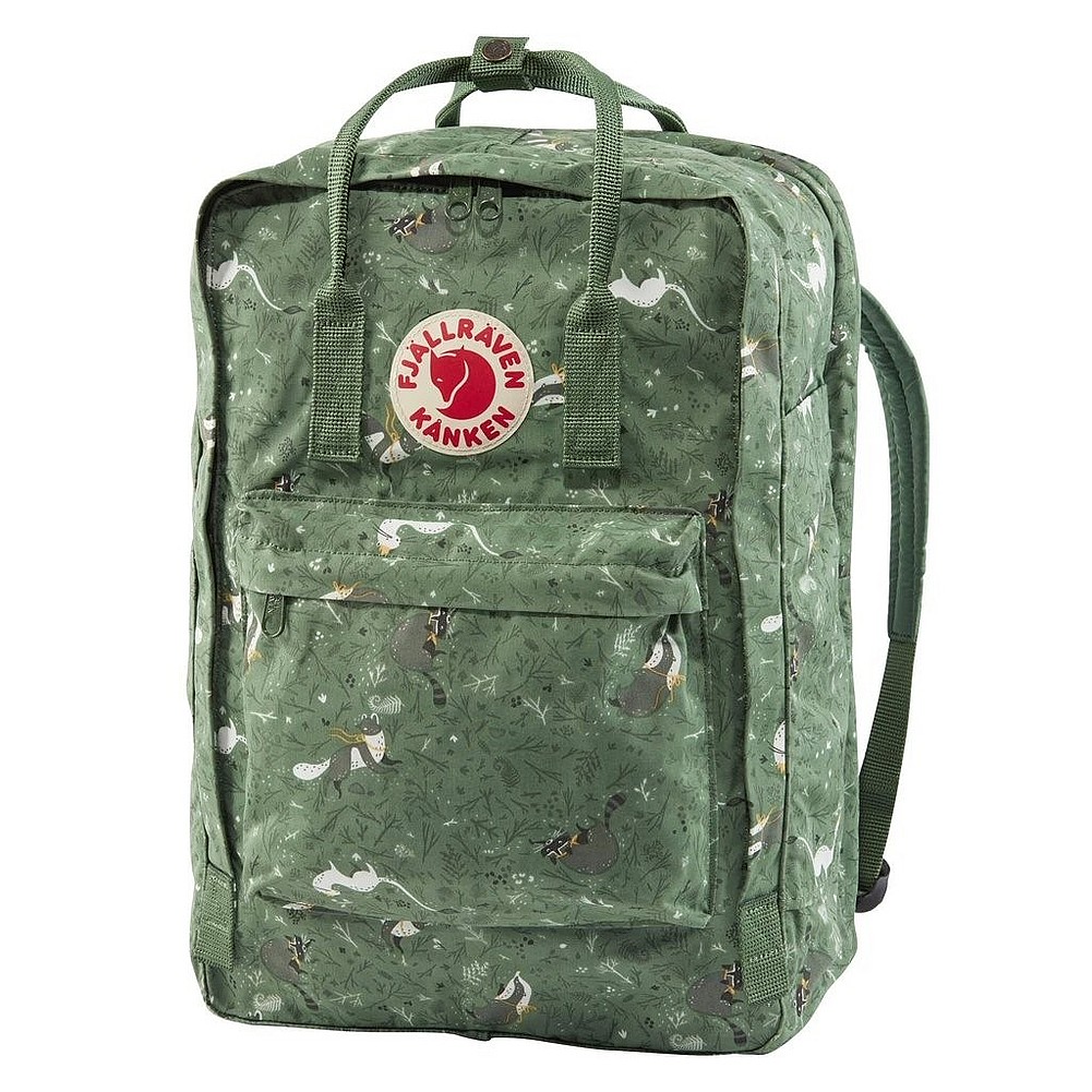 fuji raven kanken